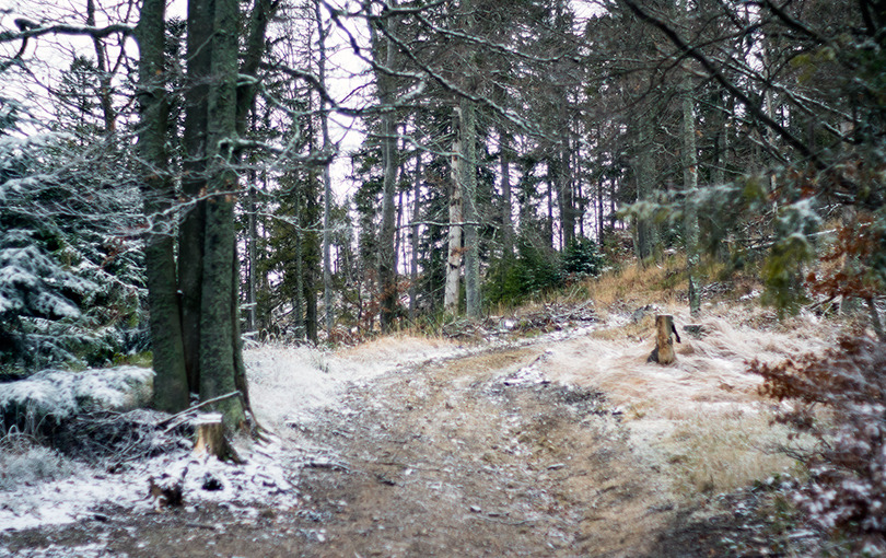 zimowe trasy rowerowe w Beskidzie Sądeckim Beskid Sądecki na rowerze